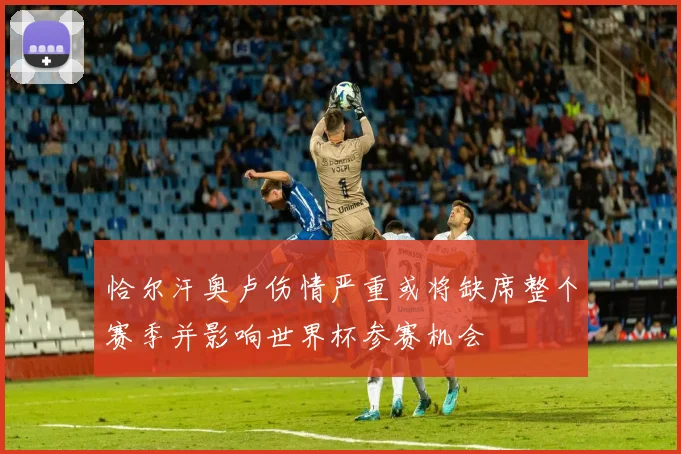 恰尔汗奥卢伤情严重或将缺席整个赛季并影响世界杯参赛机会