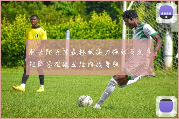 胖头陀点评森林狼实力强劲马刺年轻阵容难敌五场内战晋级