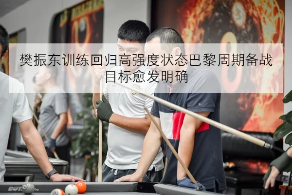 樊振东训练回归高强度状态巴黎周期备战目标愈发明确